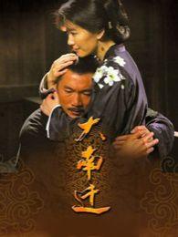 大南迁全集在线观看,探寻民族迁徙的壮丽史诗  第2张